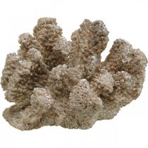 Jūrinė dekoracija, jūros gyvūnas, dekoracija koralų poliresin 13,5x11,5 cm