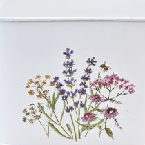 daiktų Gėlių dubuo iš metalinio sodinuko 27×16×15,5 cm
