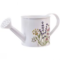 daiktų Metalinė laistytuvas sodinimui vazonas baltas 13,5cm