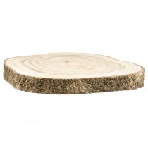 Medžio griežinėlis mėlynojo varpelio medis natūralus Ø20-25cm 1 vnt