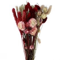 Džiovintų gėlių puokštė šiaudinės gėlės Phalaris raudonos 30cm