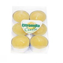 Kvapioji žvakė Citronella žvakė, Citronella arbatos žvakės Ø3,5cm H1,5cm 6 vnt.