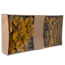 daiktų Achillea Natur Gelb džiovinti kraujažolės žiedai geltoni 1 kg