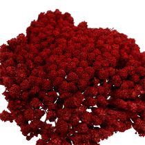 daiktų Achillea 1kg raudono vyno