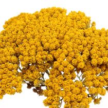 daiktų Achillea 1kg natūralus