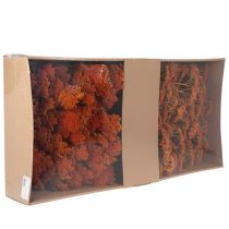 daiktų Achillea Orange džiovinti žiedai, kraujažolės, 45-60 cm, 1 kg