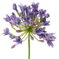 daiktų Agapanthus Afrikos lelija Dirbtinės gėlės Violetinė L75cm 2vnt