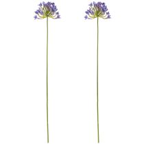 daiktų Agapanthus Afrikos lelija Dirbtinės gėlės Violetinė L75cm 2vnt