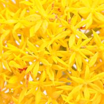 daiktų Allium geltonžiedis dirbtinis svogūnas 80cm Ø14.5cm 2vnt.