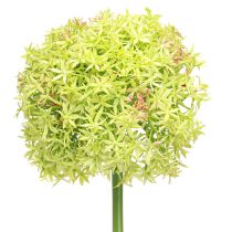 daiktų Allium green gėlė dirbtinis dekoratyvinis svogūnas Ø18cm 90cm