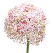 daiktų Allium su rausvais žiedais dirbtinis svogūnas Ø18cm L90cm