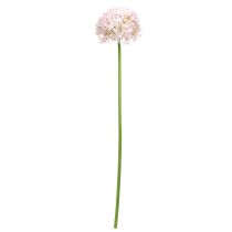 daiktų Allium su rausvais žiedais dirbtinis svogūnas Ø18cm L90cm