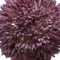 Dekoratyvinis svogūnas Allium dirbtinis violetinis Ø12cm 65cm