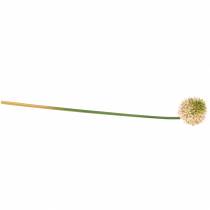 daiktų Dekoratyvinis svogūnas Allium dirbtinis rožinis / žalias Ø8cm 58cm