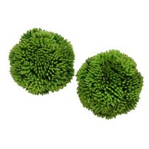 Allium kamuolys 5cm žalias 4vnt