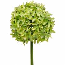 daiktų Dekoratyvinis svogūnas Allium, šilkinė gėlė, dirbtinis rutulinis poro žalias Ø20cm L72cm
