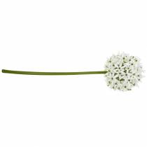 daiktų Dekoratyvinė gėlė Allium, dirbtinis rutulinis poras, dekoratyvinis svogūnas baltas Ø20cm L72cm