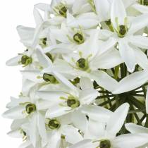 daiktų Dekoratyvinė gėlė Allium, dirbtinis rutulinis poras, dekoratyvinis svogūnas baltas Ø20cm L72cm