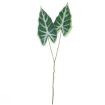 daiktų Alocasia Elephant Ear Arrow Leaf Dirbtiniai augalai Green 55cm