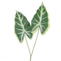 daiktų Alocasia Elephant Ear Arrow Leaf Dirbtiniai augalai Green 55cm