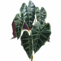 daiktų Alokazija arrow lapų žalia, violetinė dirbtinis augalas H48cm