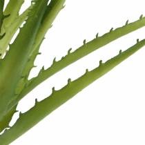 Aloe Vera dirbtinis žalias 26cm