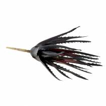 daiktų Aloe Vera dirbtinė violetinė 26cm