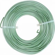 Aliuminio viela Ø2mm Green Matt 500g 60m