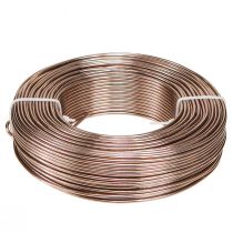 daiktų Aliuminio viela Ø2mm aliuminio viela craft viela šviesiai ruda 500g 60m