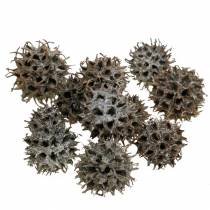 daiktų Sweetgum spurgai natūralūs plauti balti 250g