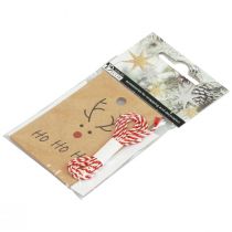 daiktų Kalėdinis pakabukas šiaurės elnių kūrimui 5,5x8,5cm 4vnt