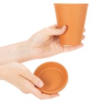 daiktų „Aquasafe“ vandens rezervuaras su vabzdžių girdykla sodui, balkonui, terasai, 12 cm, 3 dalys