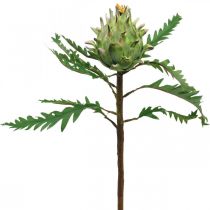 Artišokas Artišokas Green Deco Autumn Ø7,5cm H43cm
