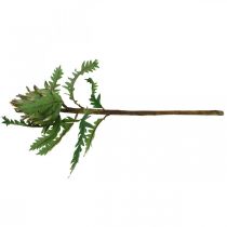 daiktų Artišokas Artišokas Green Deco Autumn Ø7,5cm H43cm