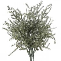 Šparagų deko šakelė balta skalbta dirbtinė 45cm 6vnt
