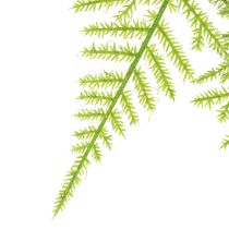 daiktų Dirbtiniai šparagai kaip kabantys augalai, skirti mažai priežiūros reikalaujančiam namų dekoravimui, 75 cm