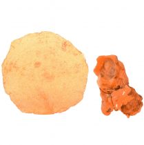 daiktų Austrių midijų griežinėliai grynojo apelsino 3,5–9,5 cm 2 vnt.