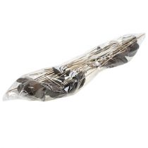 daiktų Badam ant pagaliuko naturalus 6cm - 12cm 23 vnt