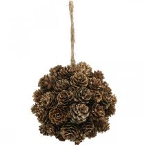 Maumedžio kūgio pakabinami dekoraciniai kūgiai, skirti pakabinti gamtai Ø10cm