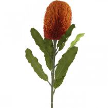 daiktų Dirbtinė gėlė Banksia Oranžinė rudens puošmena Laidotuvių gėlės 64cm