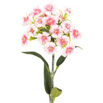 daiktų Barzdotas gvazdikas dirbtinis gvazdikas Peach Pink 52cm