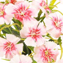 daiktų Barzdotas gvazdikas dirbtinis gvazdikas Peach Pink 52cm