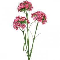 daiktų Dirbtinės Sweet William Pink dirbtinės gėlės gvazdikai 55cm ryšulėlis po 3vnt