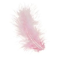 daiktų Craft plunksnos rožinės paukščių plunksnos pavasarinės Velykos 5-10cm 20g