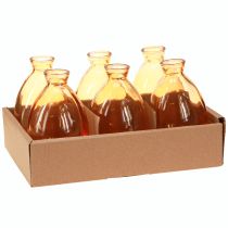 daiktų Svogūninės vazos stiklinėms mini vazoms oranžinės spalvos Ø7cm A12cm 6 vnt.