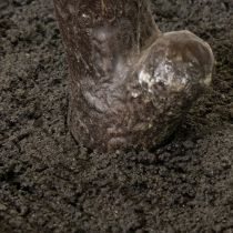 daiktų Dirbtinė eglutė su subtiliais lapais, 120 cm
