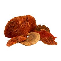 daiktų Medžio kempinė oranžinė 1kg