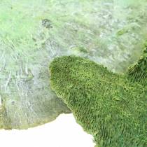 Medžio kempinė Žalia plaunama balta 1kg