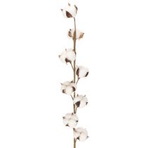 daiktų Dirbtinė medvilnės šakelė su 8 tikrais žiedais, 78 cm
