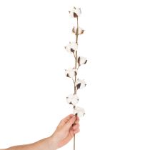 daiktų Dirbtinė medvilnės šakelė su 8 tikrais žiedais, 78 cm